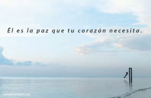 FB_IMG_1468961796533