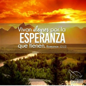 IMG_20171211_214355_335