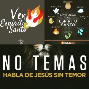 IMG_20190609_184953_401