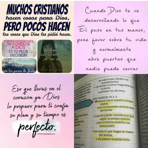 IMG_20190610_201953_010