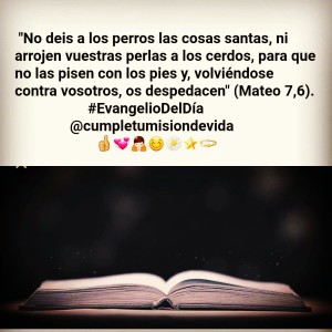 IMG_20190625_204259_347