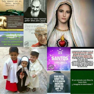 IMG_20191101_202337_400