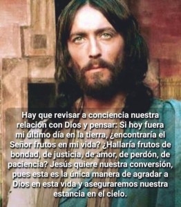 IMG_20191106_194750_362