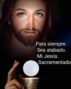 IMG_20191126_210709_925