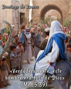 IMG_20210328_194529_536