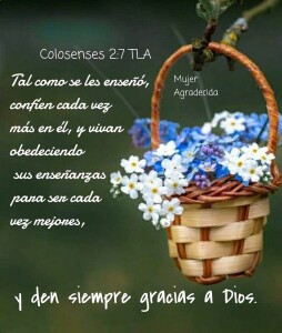 IMG_20210921_210237_225