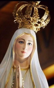 FB_IMG_1641320240987