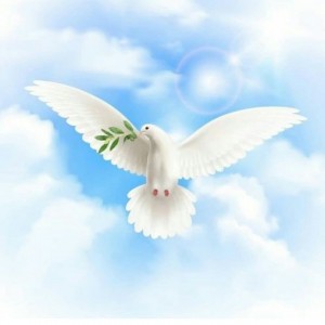 IMG_20220131_210456_728