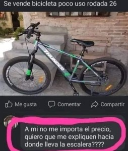 FB_IMG_1661297457312