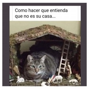 photostudio_1671222799320