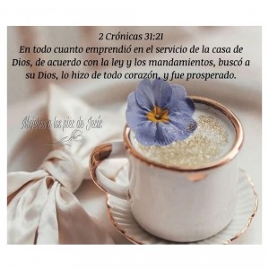 IMG_20230110_205314_674