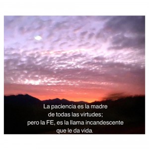 IMG_20230130_210216_454
