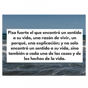 photostudio_1673893308554